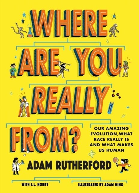 Where Are You Really From? : Adventure Through Millions of Years of Human History - Shortlisted for The Week Junior Book Awards 2024 (Paperback)