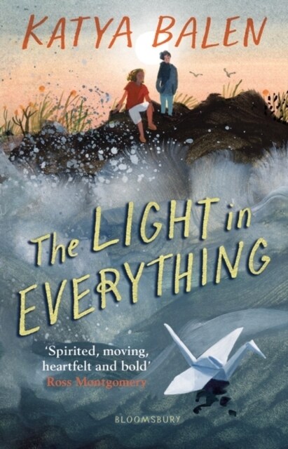 The Light In Everything (Hardcover)