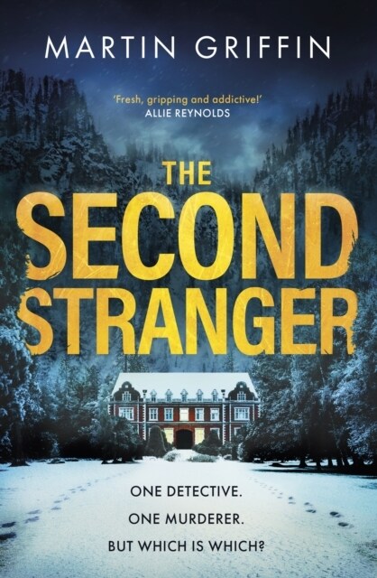 The Second Stranger : One detective. One murderer. But which is which? (Paperback)
