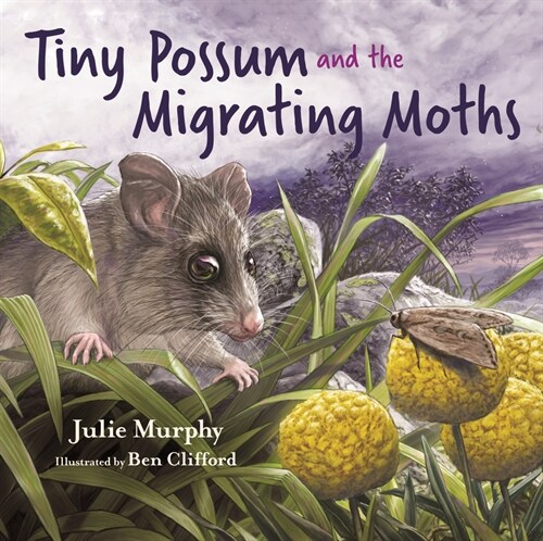 Tiny Possum and the Migrating Moths (Hardcover)