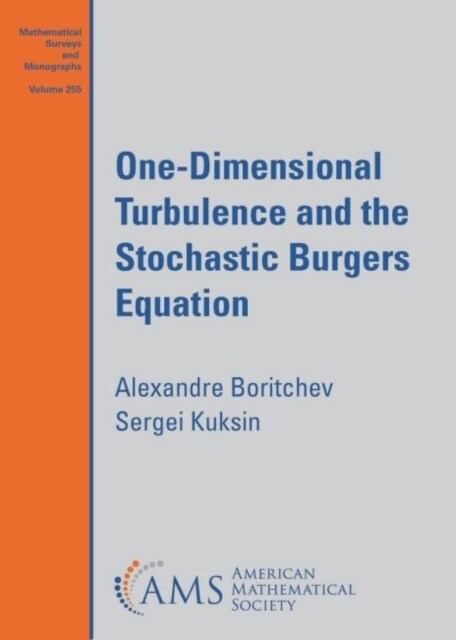 One-Dimensional Turbulence and the Stochastic Burgers Equation (Paperback)