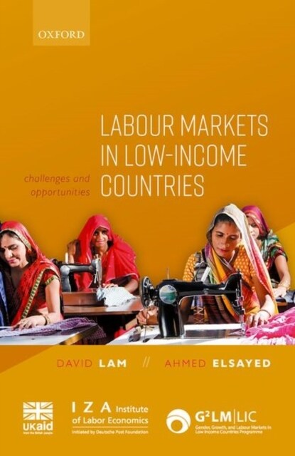 Labour Markets in Low-Income Countries : Challenges and Opportunities (Hardcover)