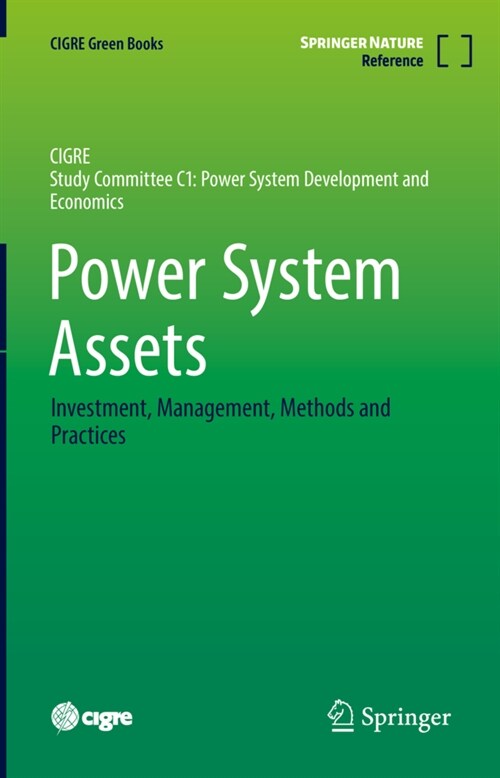 Power System Assets: Investment, Management, Methods and Practices (Hardcover, 2022)