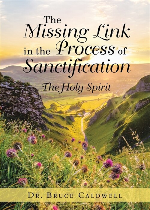 The Missing Link in the Process of Sanctification: The Holy Spirit (Paperback)