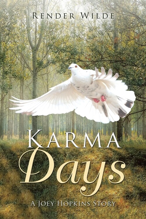 Karma Days: A Joey Hopkins Story: A Joey Hopkins Story (Paperback)