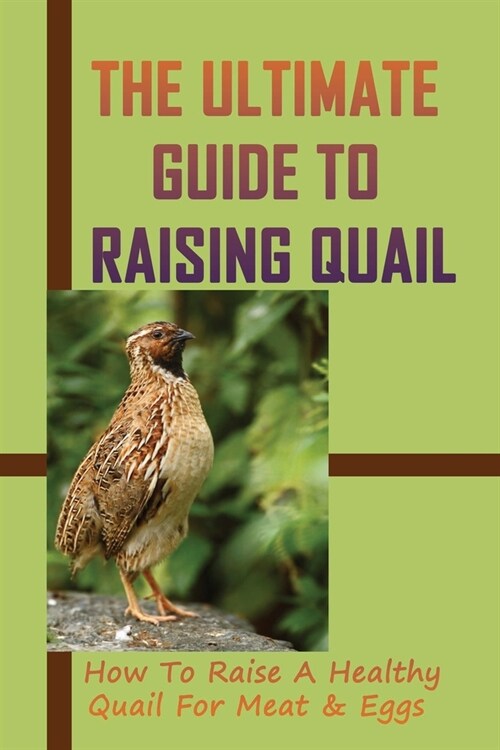 The Ultimate Guide To Raising Quail: How To Raise A Healthy Quail For Meat & Eggs: Typical Quail Behavior (Paperback)