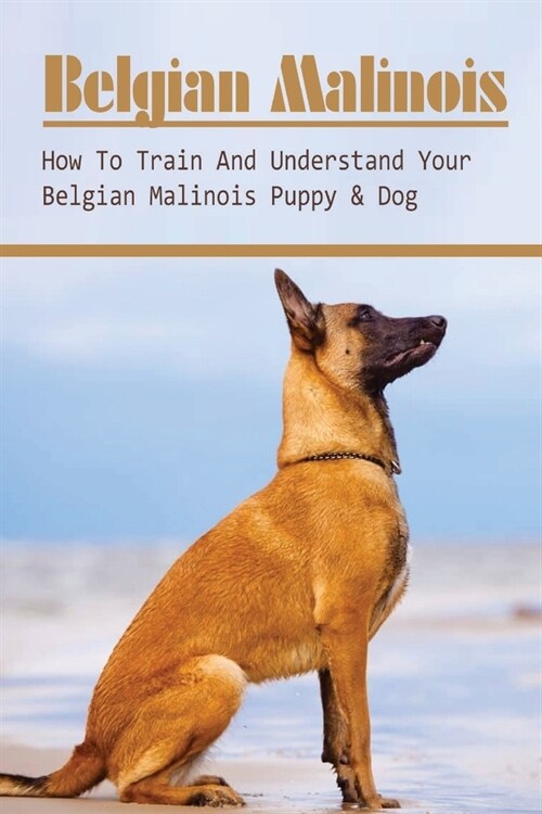 Belgian Malinois: How To Train And Understand Your Belgian Malinois Puppy & Dog: Techniques For Belgian Malinois Training (Paperback)