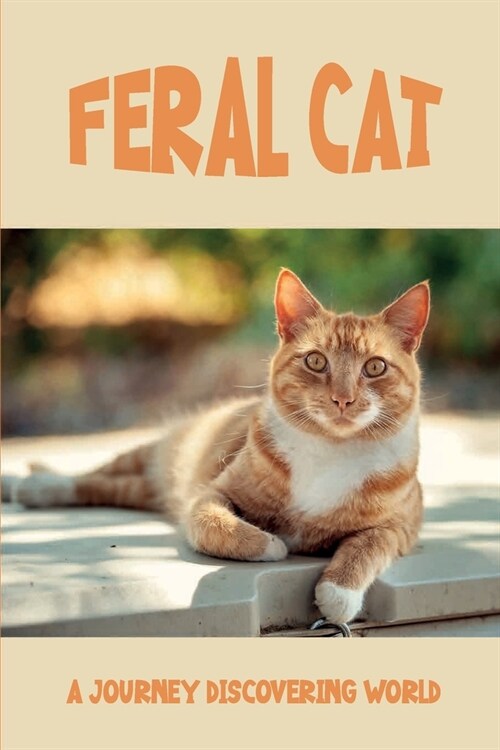 Feral Cat: A Journey Discovering World: Feral Cat Entering Human World (Paperback)