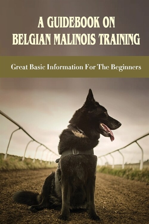 A Guidebook On Belgian Malinois Training: Great Basic Information For The Beginners: Belgian Malinois Training Secrets (Paperback)