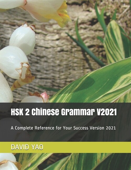 HSK 2 Chinese Grammar V2021: A Complete Reference for Your Success Version 2021 (Paperback)