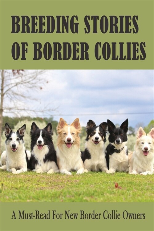 Breeding Stories Of Border Collies: A Must-Read For New Border Collie Owners: Methods For Keeping Border Collies (Paperback)