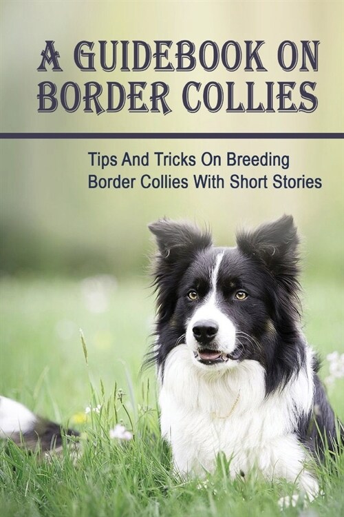 A Guidebook On Border Collies: Tips And Tricks On Breeding Border Collies With Short Stories: How To Train Your Border Collies (Paperback)