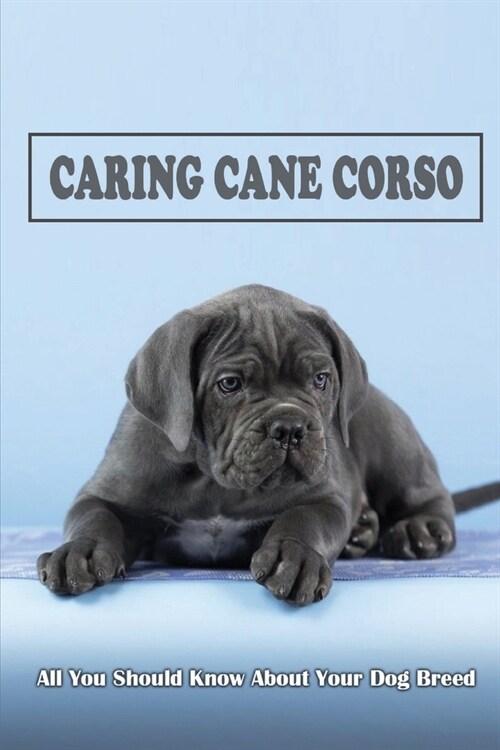 Caring Cane Corso: All You Should Know About Your Dog Breed: Diet And Nutrition For Cane Corso (Paperback)