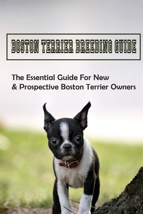 Boston Terrier Breeding Guide: The Essential Guide For New & Prospective Boston Terrier Owners: How To Care For Boston Terrier (Paperback)