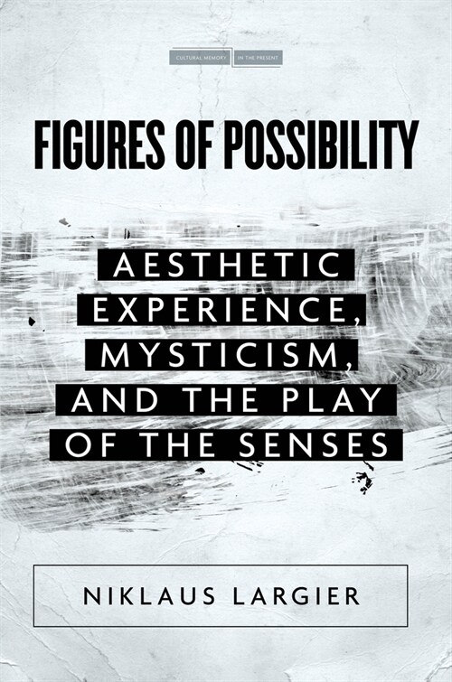 Figures of Possibility: Aesthetic Experience, Mysticism, and the Play of the Senses (Hardcover)