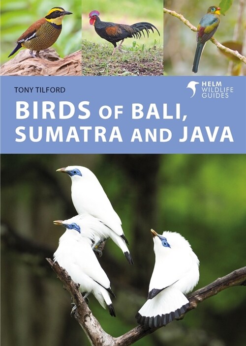 Birds of Bali, Sumatra and Java (Paperback)