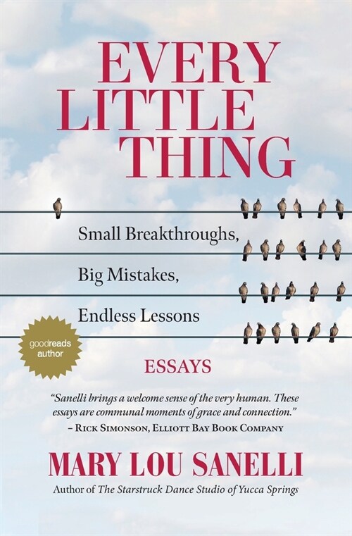 Every Little Thing: Small Breakthroughs, Big Mistakes, Endless Lessons (Paperback)