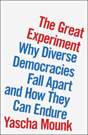 The Great Experiment: Why Diverse Democracies Fall Apart and How They Can Endure (Hardcover)