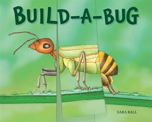 Build-A-Bug: Make Your Own Wacky Insect! (Board Books)