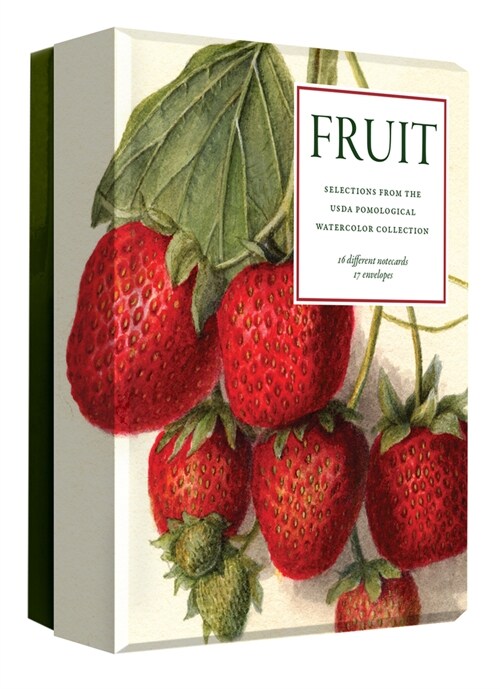 Fruit (an Abbeville Notecard Set): From the USDA Pomological Watercolor Collection (Other)