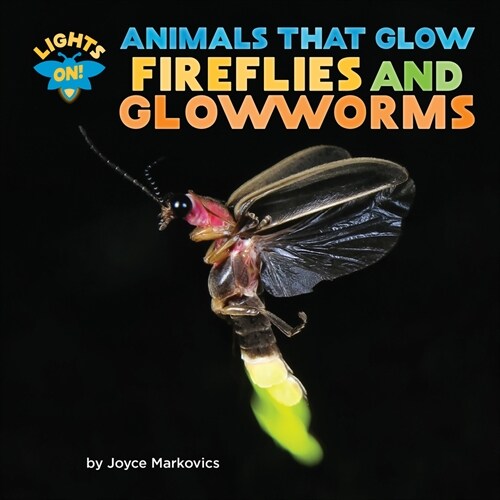Fireflies and Glowworms (Paperback)