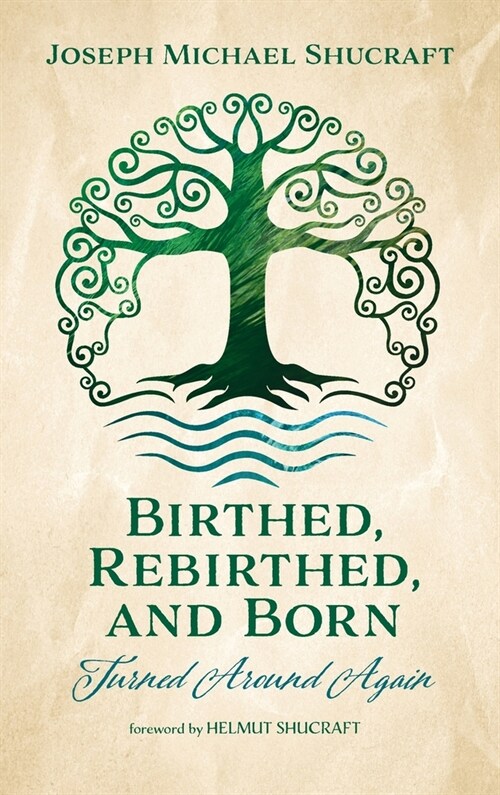 Birthed, Rebirthed, and Born: Turned Around Again (Hardcover)