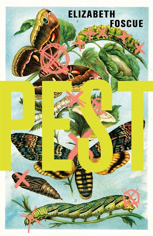 Pest (Paperback)