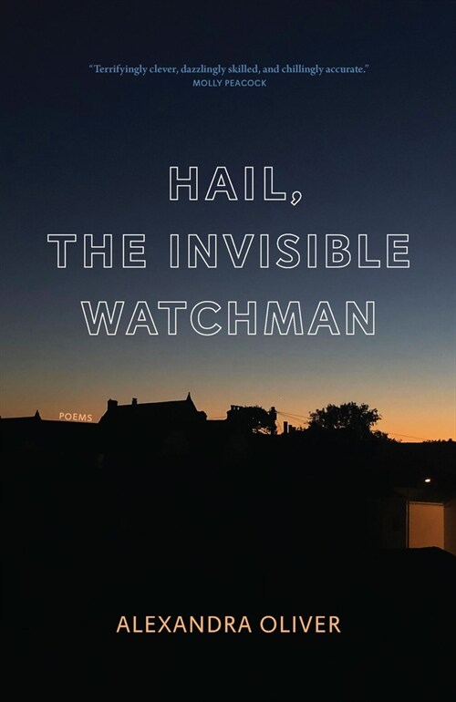 Hail, the Invisible Watchman (Paperback)