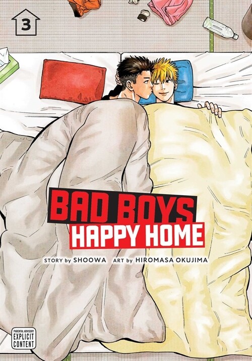Bad Boys, Happy Home, Vol. 3 (Paperback)