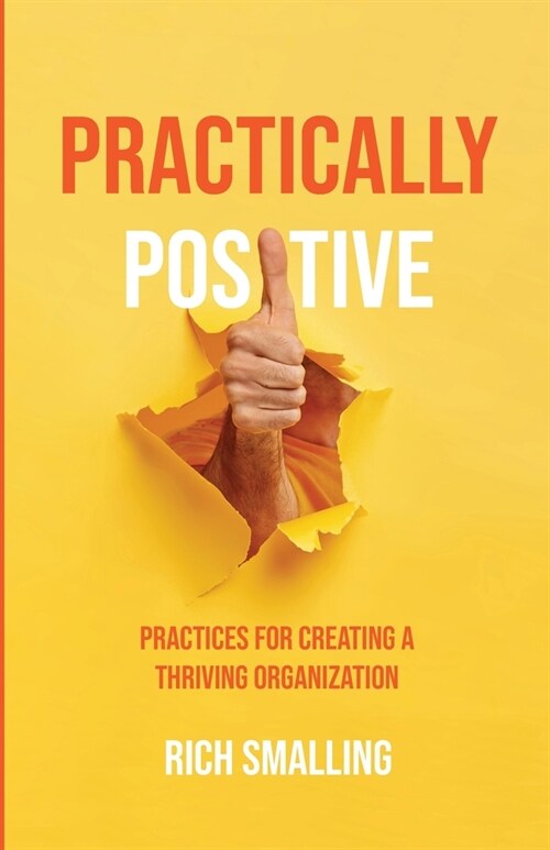 Practically Positive (Paperback)
