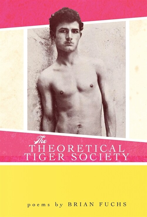 The Theoretical Tiger Society (Hardcover)