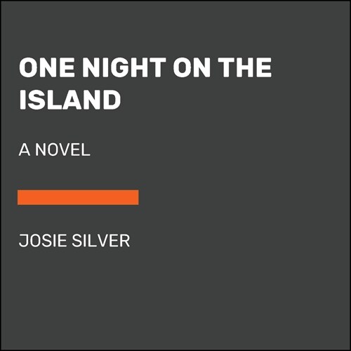 One Night on the Island (Paperback)