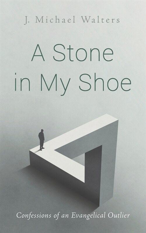 A Stone in My Shoe (Hardcover)