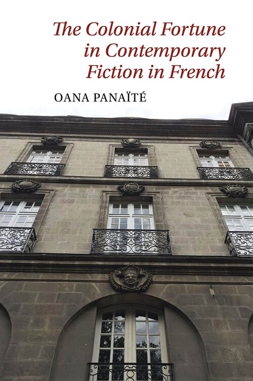 The Colonial Fortune in Contemporary Fiction in French (Paperback)