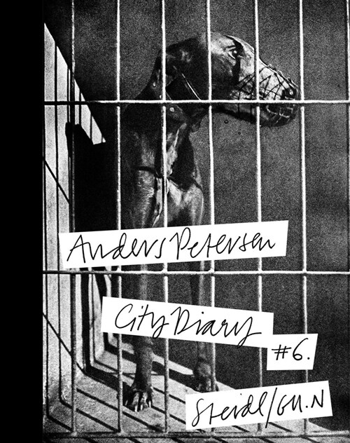 Anders Petersen: City Diary #6 (Paperback)