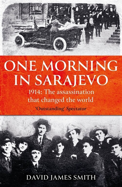 One Morning In Sarajevo : The true story of the assassination that changed the world (Paperback)