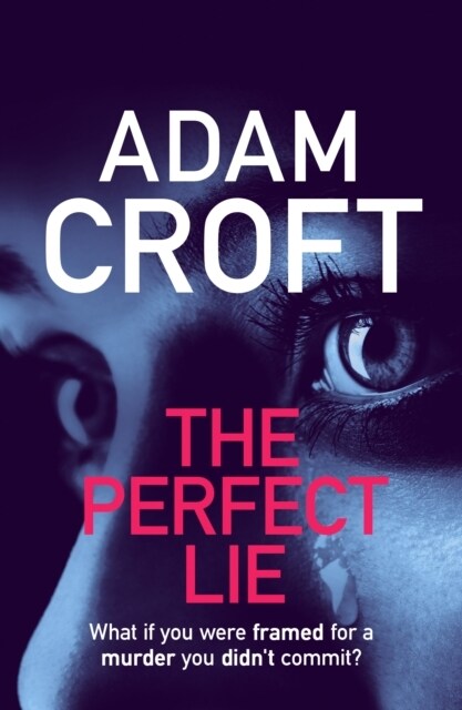 The Perfect Lie (Paperback)