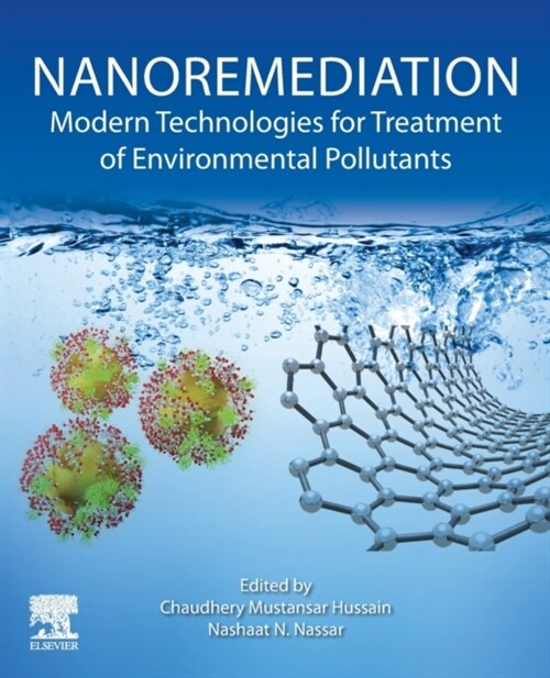 Nanoremediation: Modern Technologies for Treatment of Environmental Pollutants (Paperback)