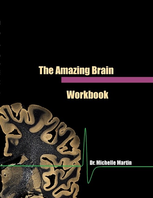 The Amazing Brain Workbook (Paperback)