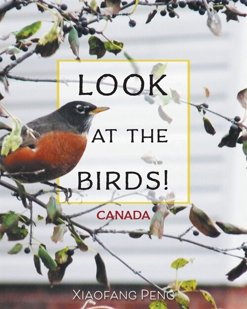 Look At The Birds! (Paperback)