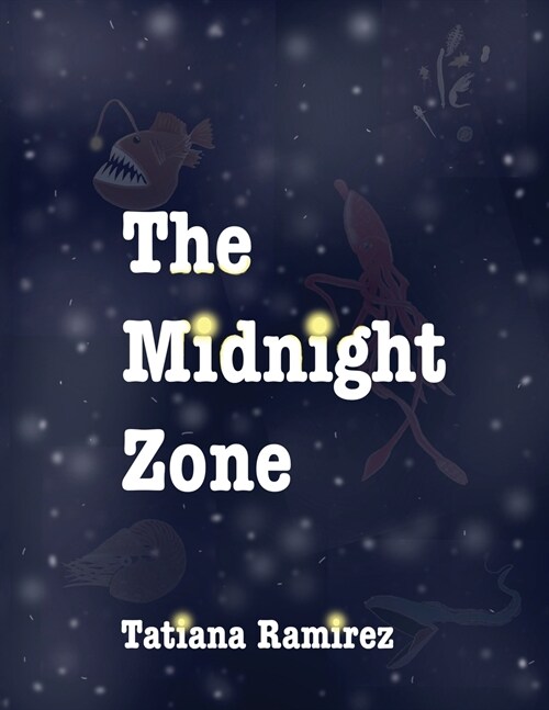 The Midnight Zone (Paperback)