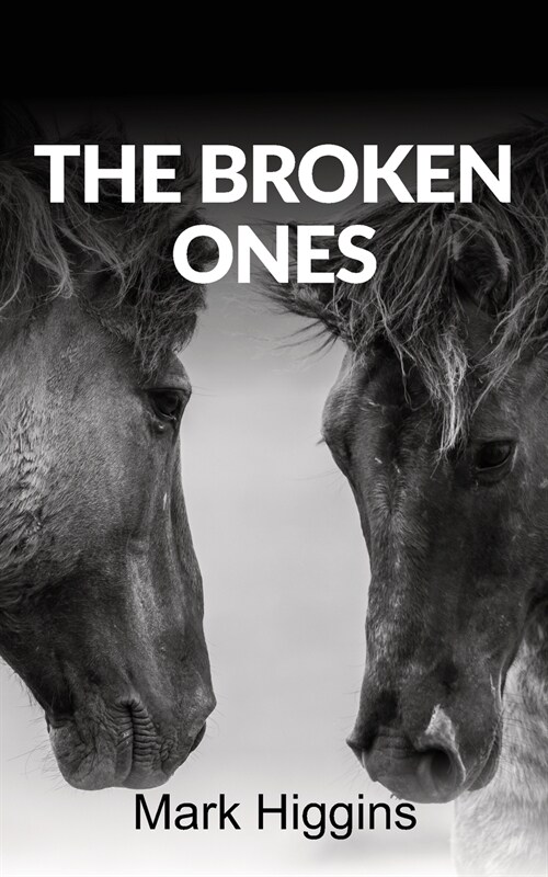 THE BROKEN ONES (Paperback)