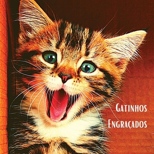 Gatinhos Engra?dos: 햘bum de fotografias a cores com belos gatinhos. Ideia de prenda para os amantes de gatos pequenos e da natureza. Livr (Paperback)