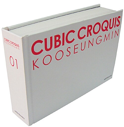 Cubic Croquis 1