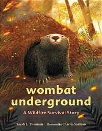Wombat underground :a wildfire survival story 