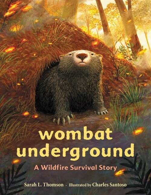 Wombat Underground: A Wildfire Survival Story (Hardcover)