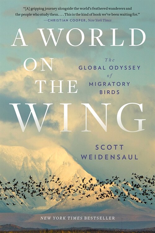 A World on the Wing: The Global Odyssey of Migratory Birds (Paperback)