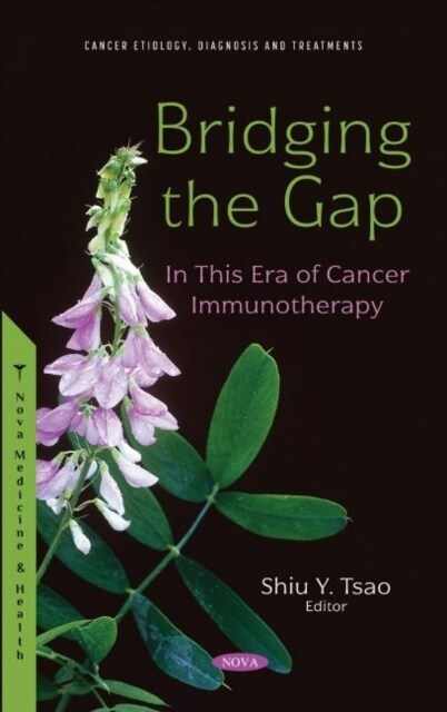 Bridging the Gap : In This Era of Cancer Immunotherapy (Hardcover)
