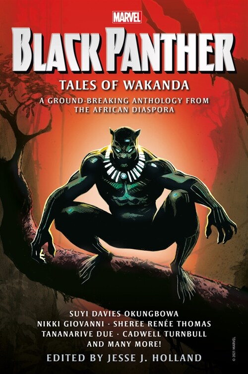 Black Panther: Tales of Wakanda (Paperback)
