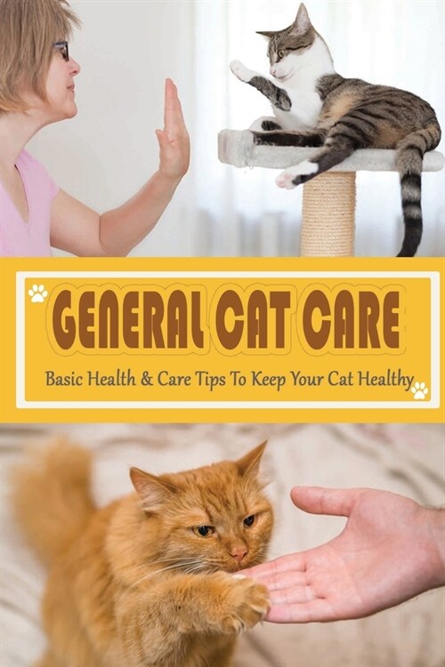 General Cat Care: Basic Health & Care Tips To Keep Your Cat Healthy: Tips On Caring For Your Cat (Paperback)